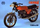 1982 - DERBI T250                          